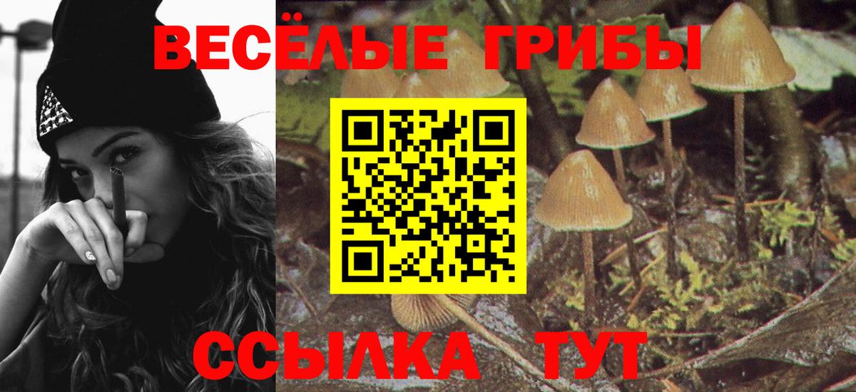 Галлюциногенные грибы GOLDEN TEACHER Фролово